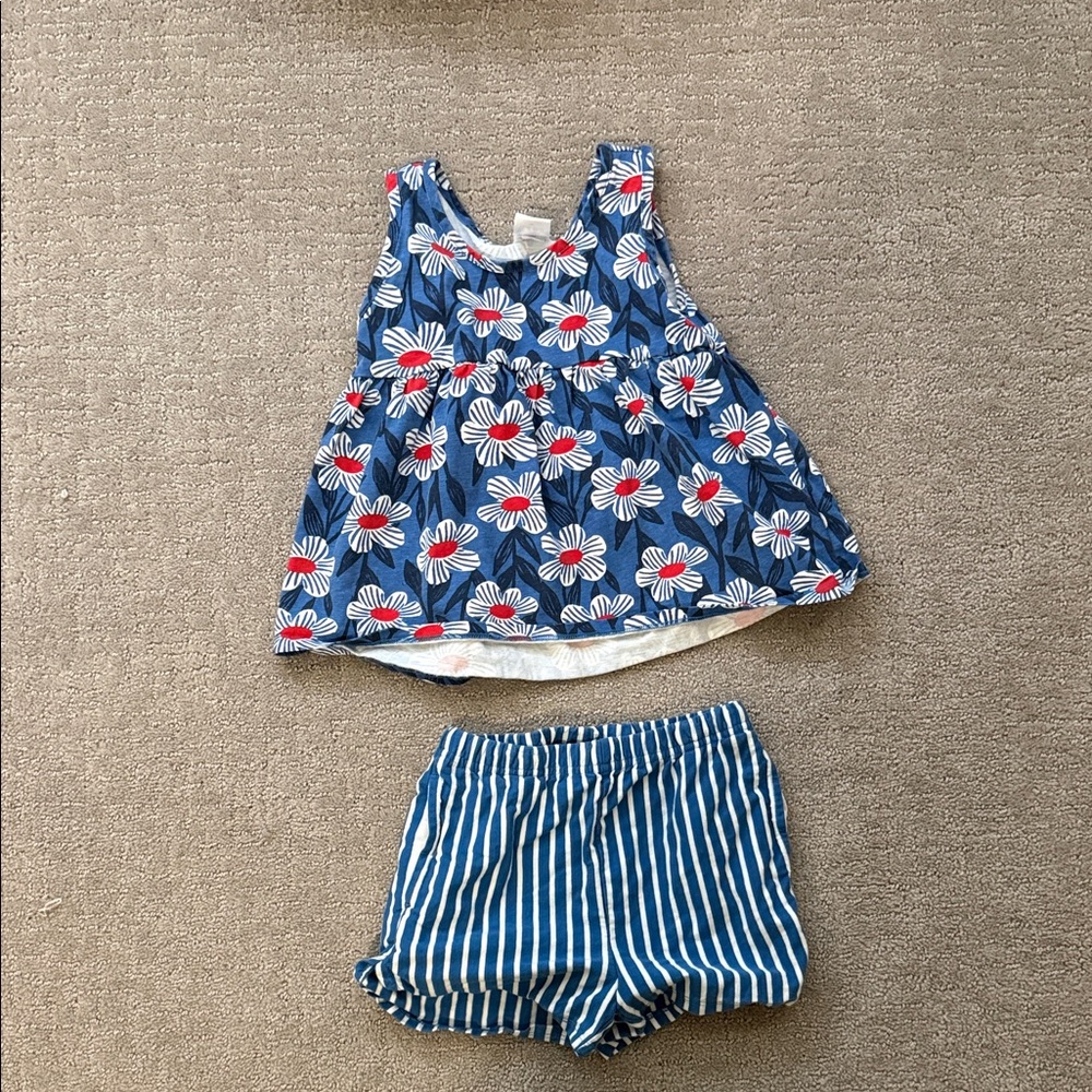 Hanna Andersson Blue Floral Top and Striped Shorts